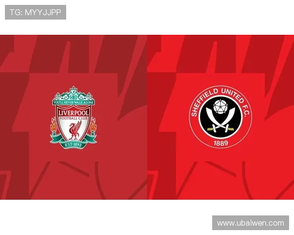 谢菲联足球俱乐部历史沿革及其在英超赛场的表现与发展分析