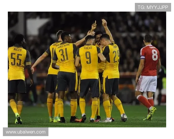 雷丁俱乐部公布新赛季阵容调整计划 力争重返英超赛场